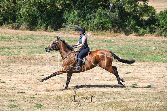 STP_0869