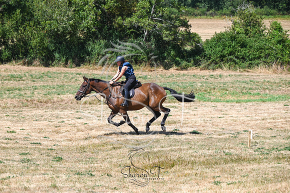 STP_0904
