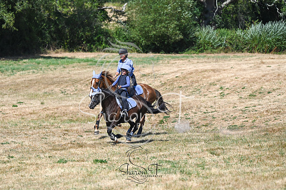STP_0949