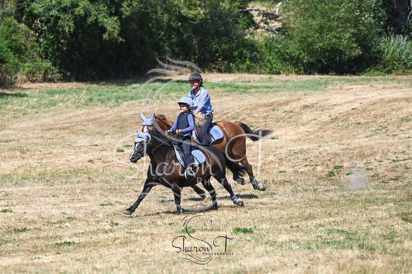 STP_0952