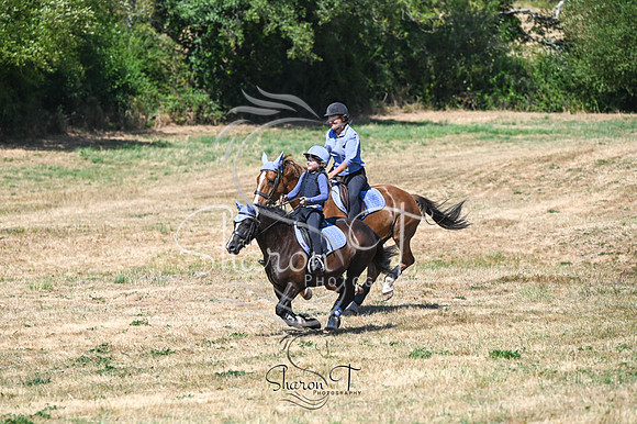 STP_0954