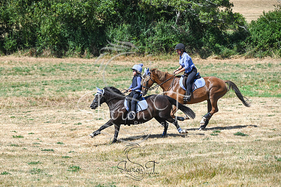 STP_0955