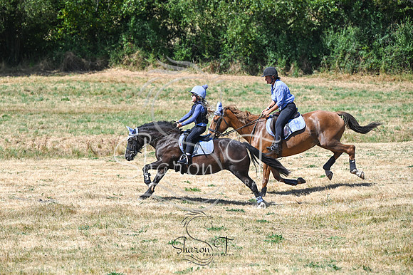 STP_0959