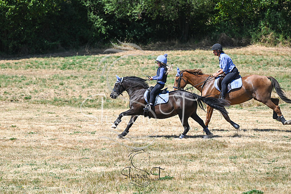 STP_0964
