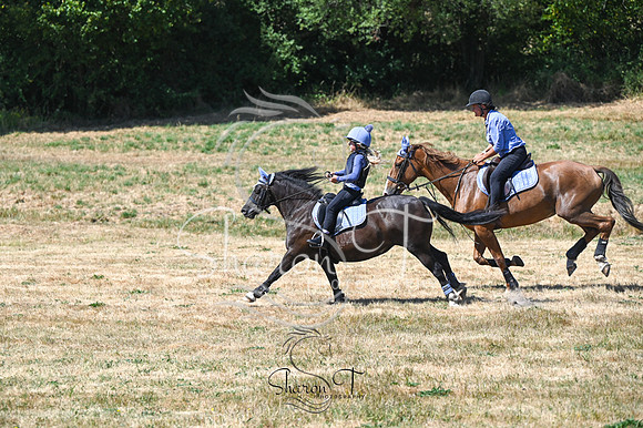 STP_0965