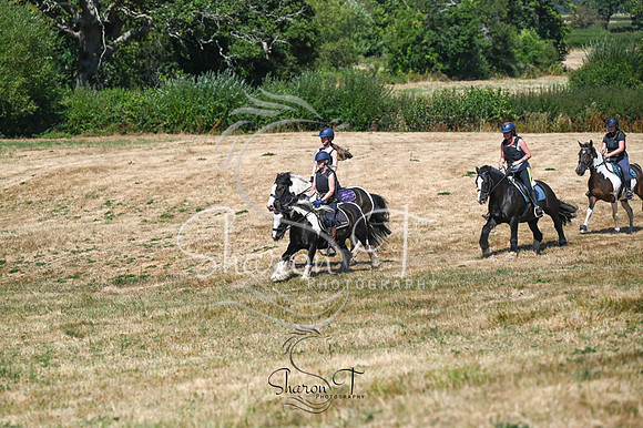 STP_0984
