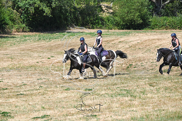 STP_0986
