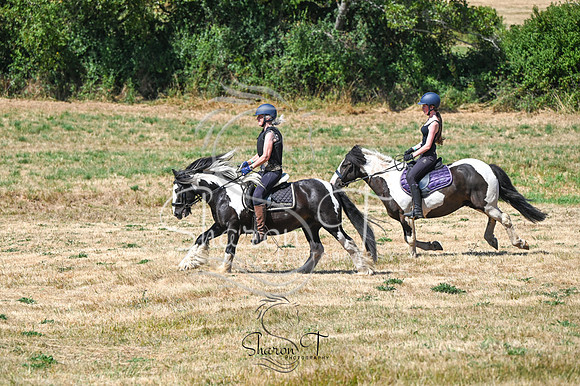 STP_0990