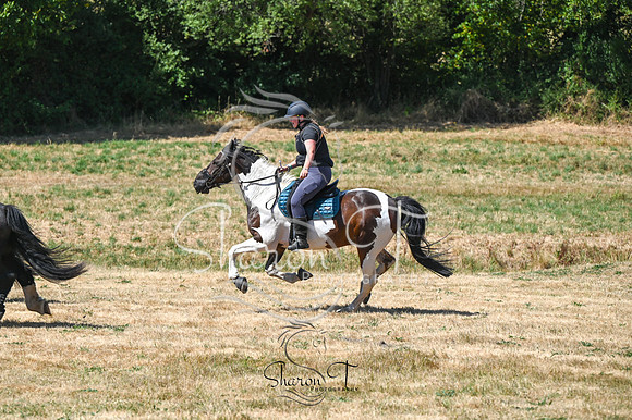 STP_0997
