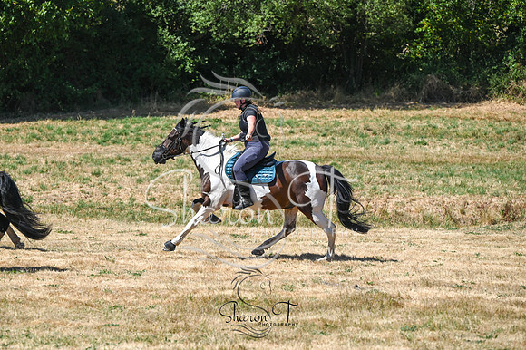 STP_0998