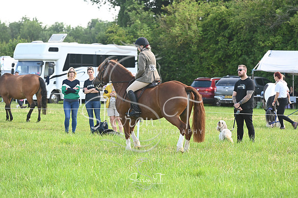 094100-STP_4421