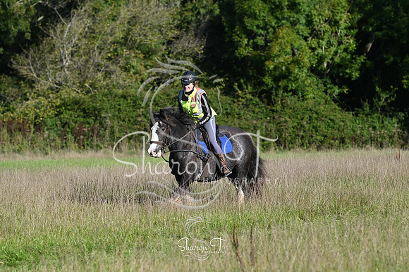 STP_0596