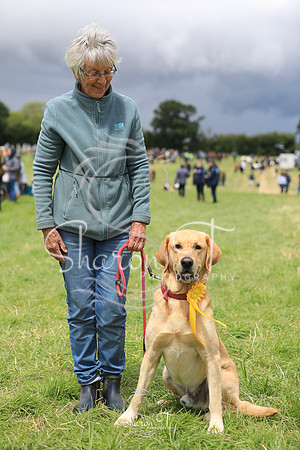 130847-JOB_6560