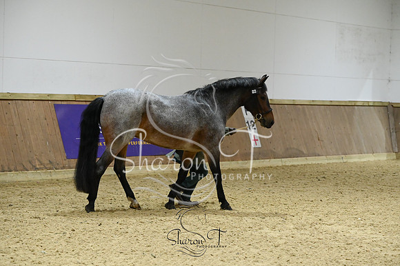 STP_1709