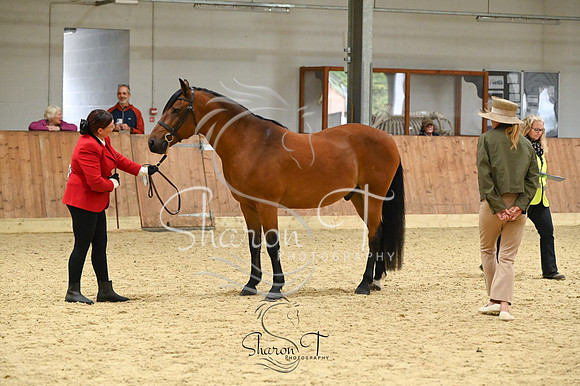 STP_1767