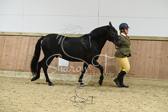 STP_1912
