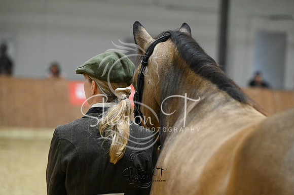 STP_2011