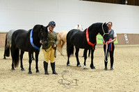 In Hand Classes
