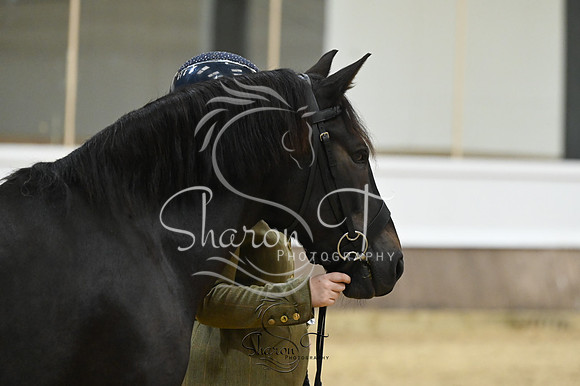 STP_2012