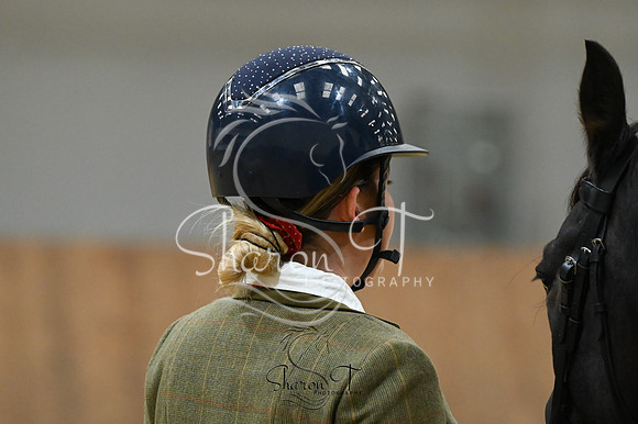 STP_2013