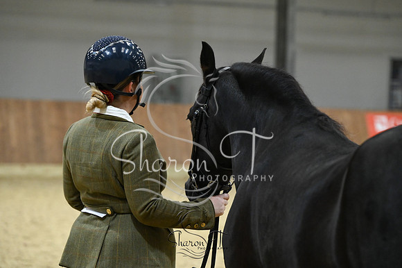 STP_2014
