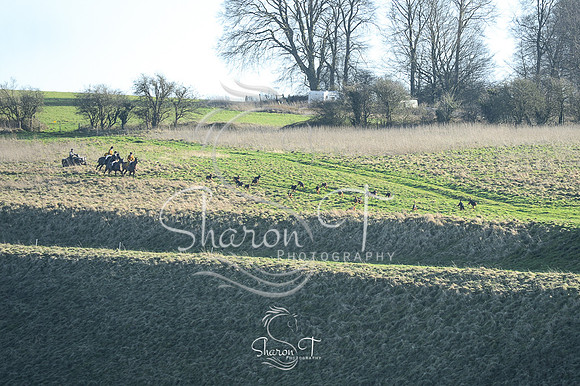 DSC_3958