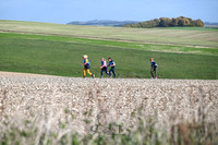 STP_5441