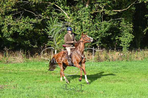 STP_2435