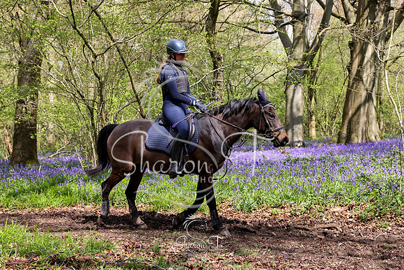Bluebell Ride 1230-5694
