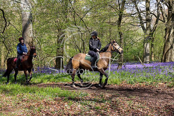 Bluebell Ride 1230-5696