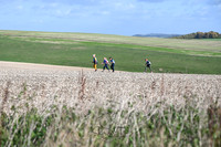 STP_5442