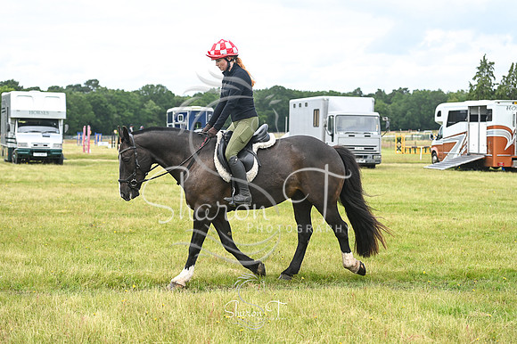 STP_0948