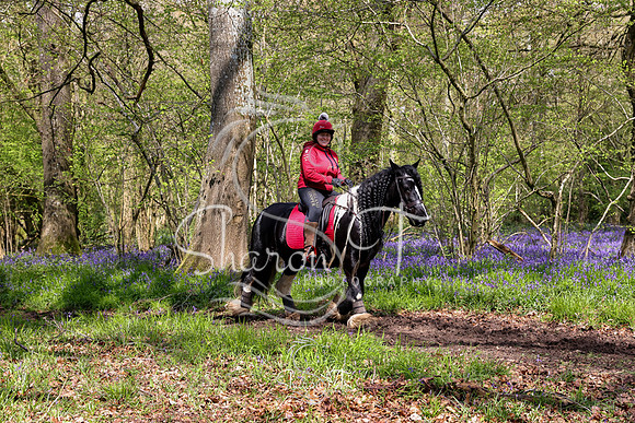 Bluebell Ride 1230-5705