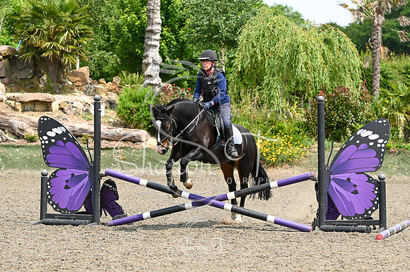 STP_0347
