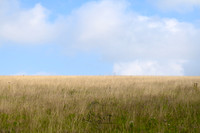 STP_3148