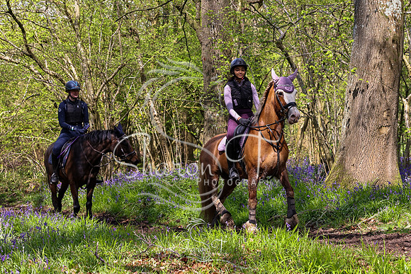 Bluebell Ride 1230-5691