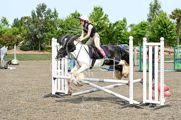 STP_0465