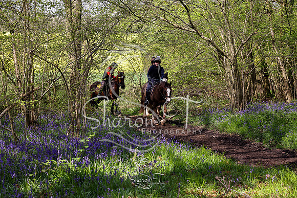 Bluebell Ride 1230-5711