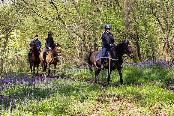 Bluebell Ride 1230-5692