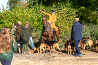 The Meet