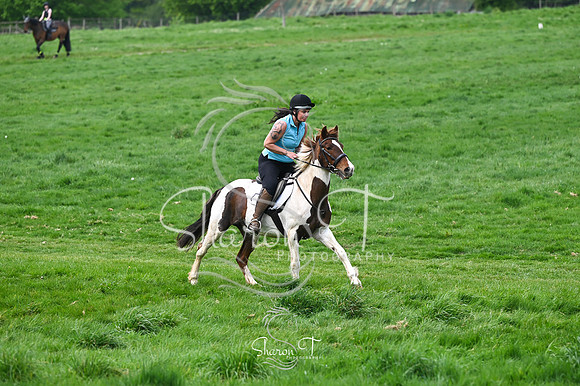 STP_5405