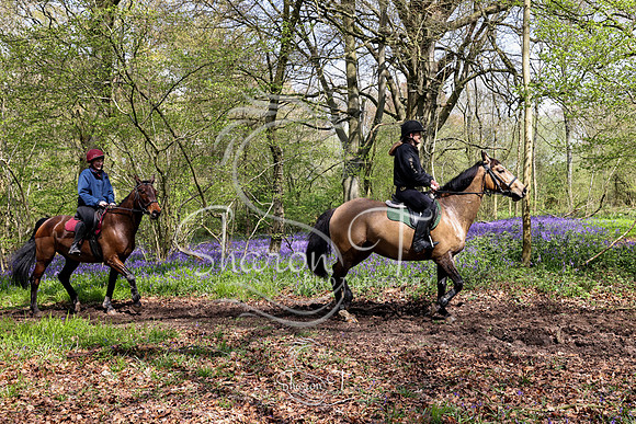 Bluebell Ride 1230-5697