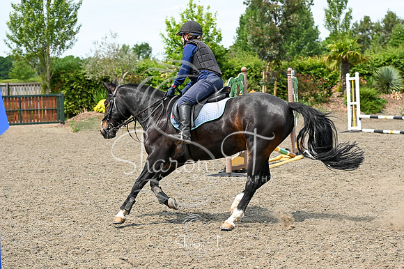STP_0356