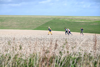 STP_5444