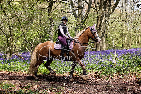 Bluebell Ride 1230-5693