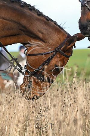 STP_5353