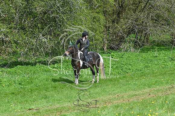 STP_6183