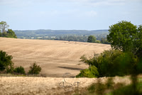 STP_2669
