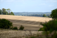 STP_2671
