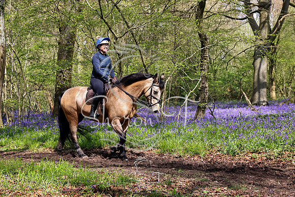 Bluebell Ride 1230-5702